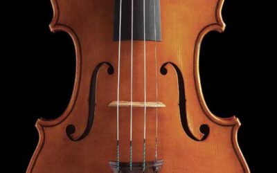 Violino