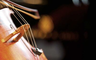 Violoncello