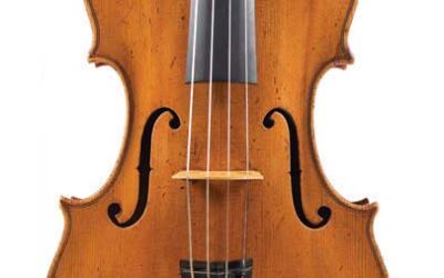 Viola